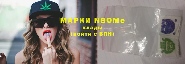 прущий лед Бородино