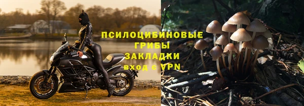 молекула духа Верхний Тагил