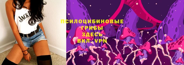 прущий лед Бородино