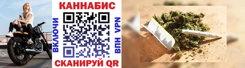 Бошки Шишки план  купить наркоту  Городовиковск 